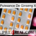 Ginseng Power X cialis4